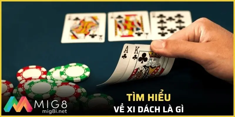 Xi dách là gì