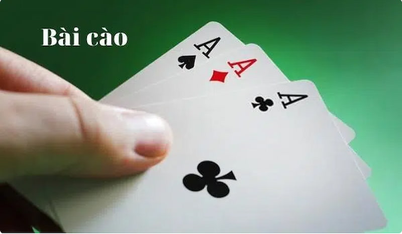Game Bài Cào Tố Tại Live Casino Ăn Tiền Cực Nhanh Những điều mà người chơi bài cào tố không nên bỏ qua
