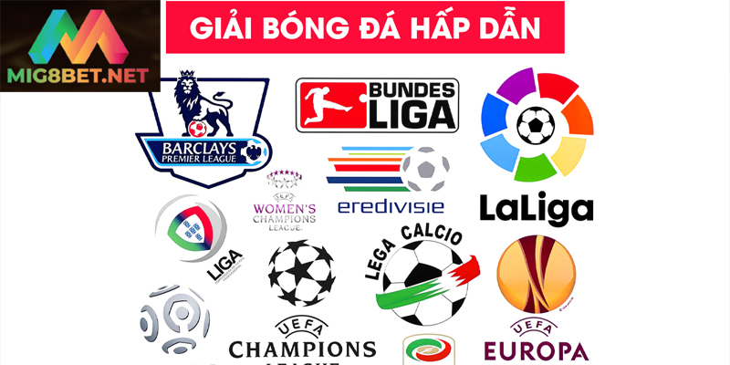 Các Giải Đấu Bóng Đá Lớn Mig8bet Và Sức Hấp Dẫn Bất Tận Các giải đấu bóng đá lớn mang đến nhiều khoảnh khắc lịch sử