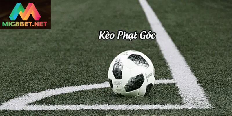 Hiểu Rõ Về Kèo Phạt Góc Mig8bet Trong Cá Cược Bóng Đá Phân tích chiến thuật giúp tăng tỷ lệ thắng khi chơi kèo góc
