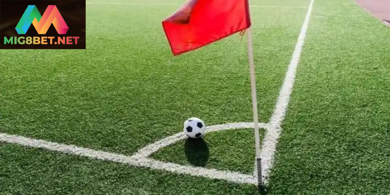 Kèo Phạt Góc Là Gì? Hướng Dẫn Cách Xem Các Loại Kèo Hiểu rõ luật chơi và ý nghĩa của kèo phạt góc