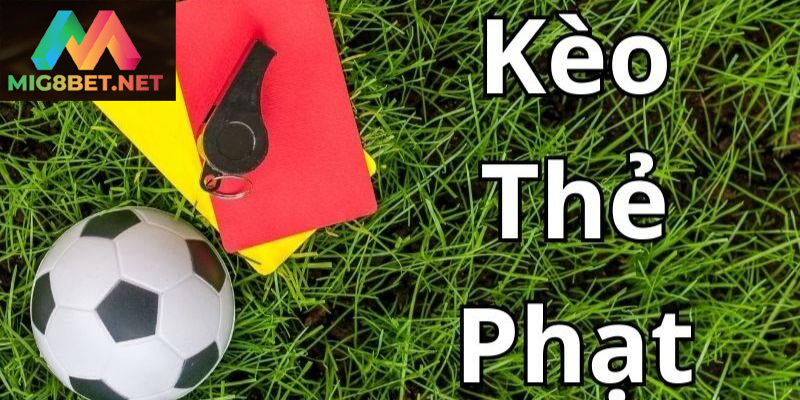 Thẻ Đỏ Trong Bóng Đá Và Tác Động Đến Trận Đấu Những hành vi nào khiến cầu thủ dễ dàng bị rút thẻ đỏ