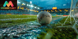 trang ca cuoc bong da 3