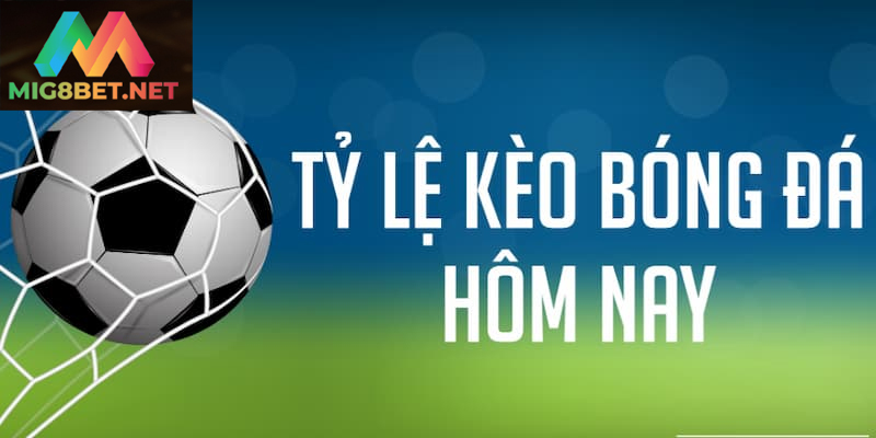 Tìm Hiểu Chi Tiết Về Tỷ Lệ Kèo Trong Bóng Đá Cho Dân Cược Tỷ lệ kèo bóng đá thể hiện mức độ chênh lệch giữa hai đội