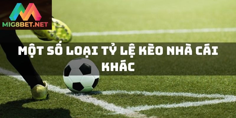 Tìm Hiểu Tỷ Lệ Kèo TV Và Cách Đọc Hiểu Hiệu Quả Tỷ lệ kèo TV hỗ trợ phân tích và đặt cược hiệu quả hơn